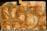 Palomino (Yellow Wood) slab